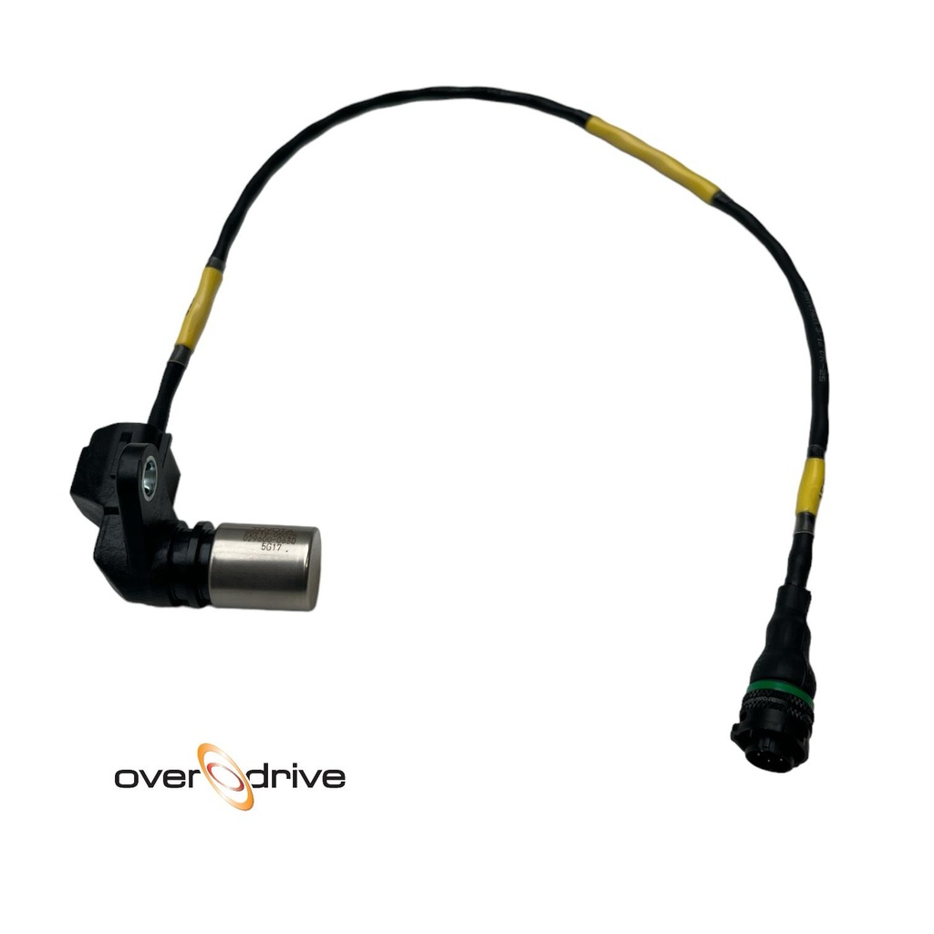 Crank Sensor Potting