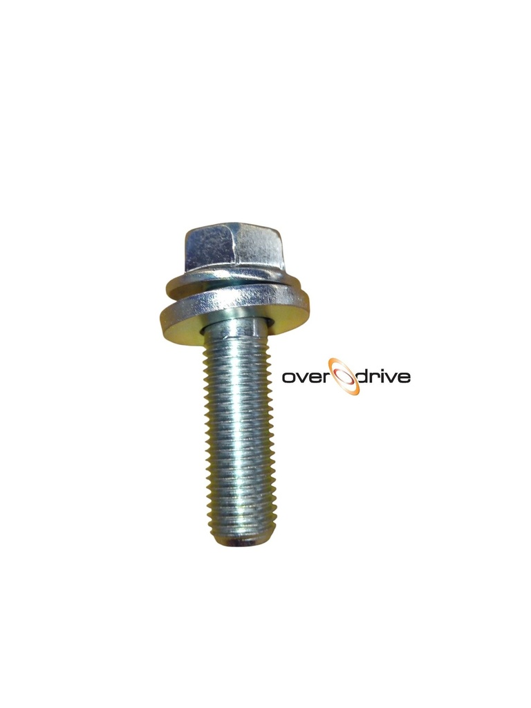 Heat Shield Bolt V6 Turbo 