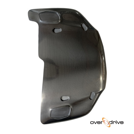 [OV.220-0045] Bonnet Carbon